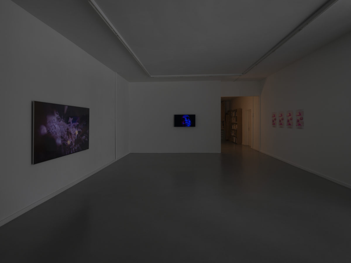 View of Denis Savary's installation, CEC, 2025
