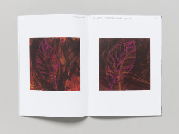 David Hominal, Still Life / Les feuilles mortes / 2020–2021, Before publication, éd. du CEC, 2021. © Sandra Pointet
