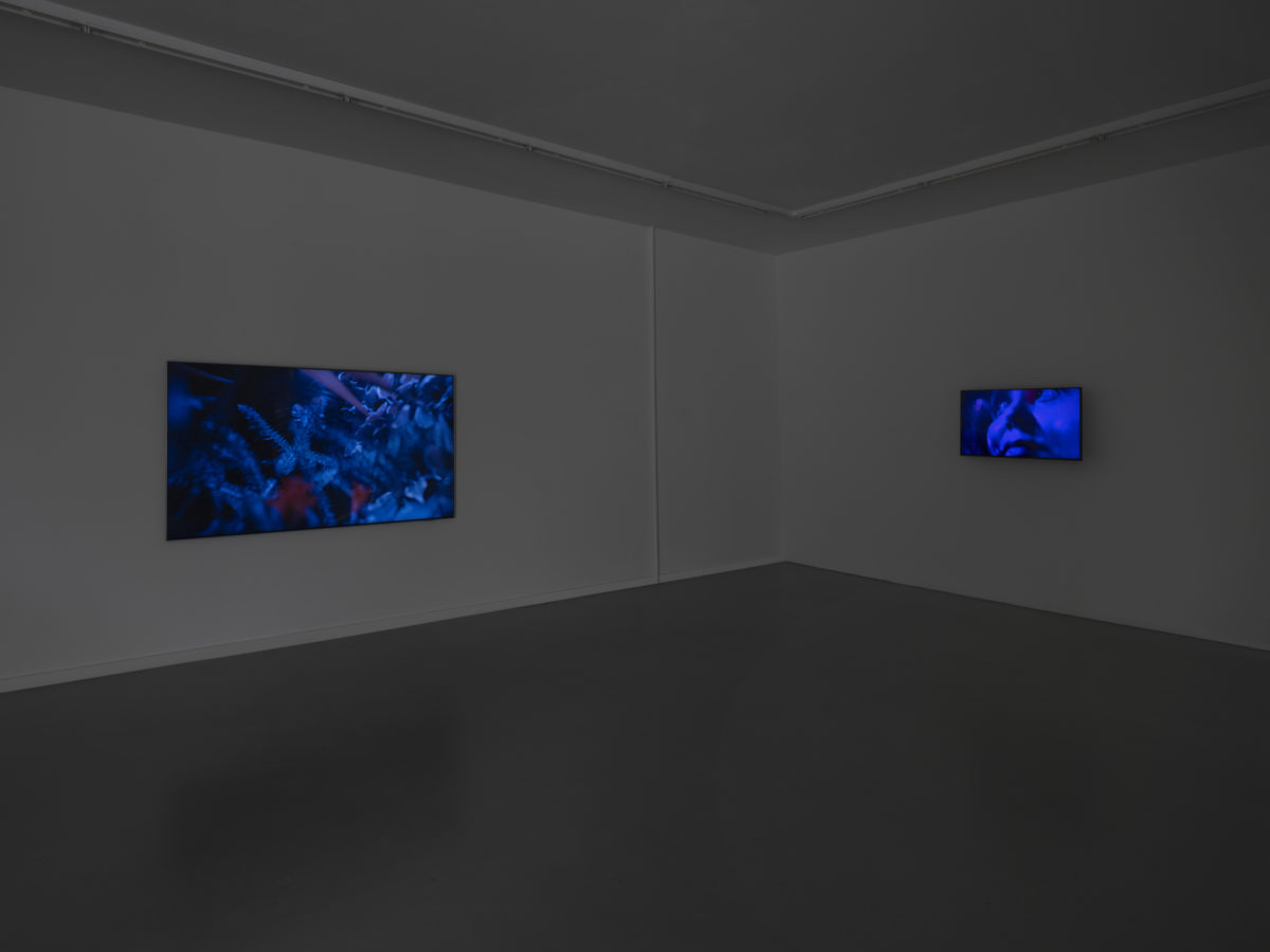View of Denis Savary's installation, CEC, 2025