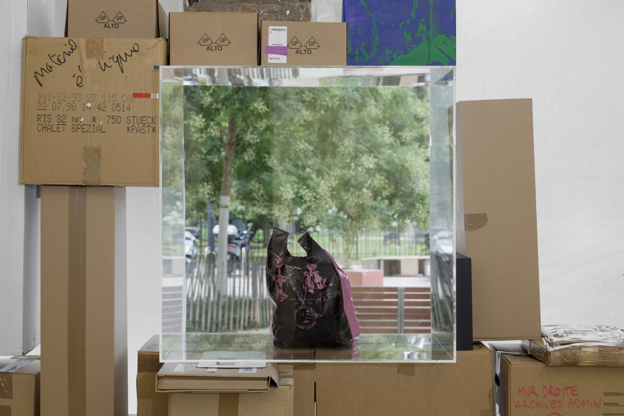 Vue d'installation, Inner Light, CATALOGUE, CEC, 2026. Photo : Théa Giglio